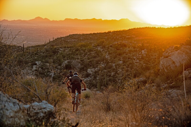 Two people mountain biking downhill through the desert in Mount Lemmon, Tucson.