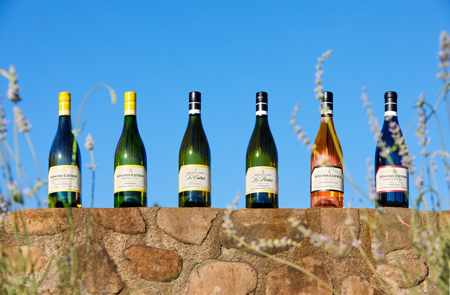A neat row of bottles of Sonoma-Cutrer wines along a brick wall outdoors in Sonoma County, California.