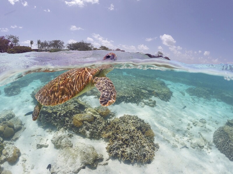 open-uri20190313-10144-19djj8h