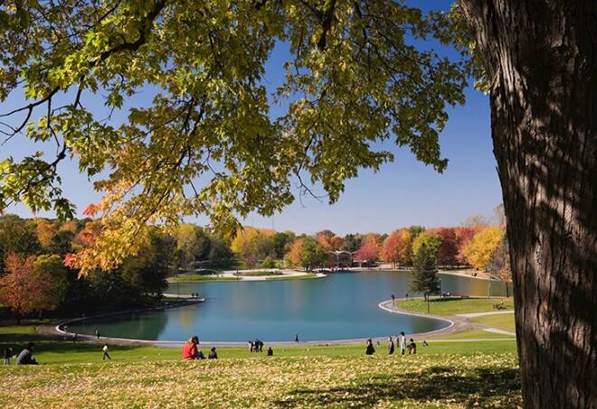 Lac des Castors (Beaver Lake) framed by a maple (Acer) tree on Mount Royal Park in Autumn, Montreal, Quebec, Canada