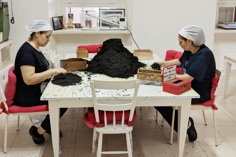 Some tasks, like sorting the tea leaves, are still done by hand.