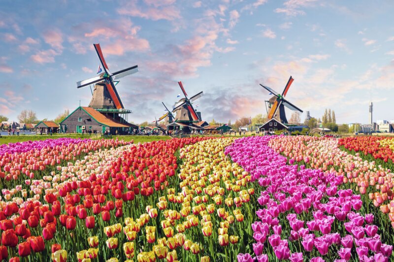 The Conservatorium Hotel in Amsterdam can secure tickets to the Keukenhof flower park, which usually sell out well in advance.