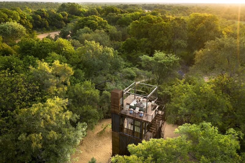 A luxury open roof treehouse in the middle of a lush forest
