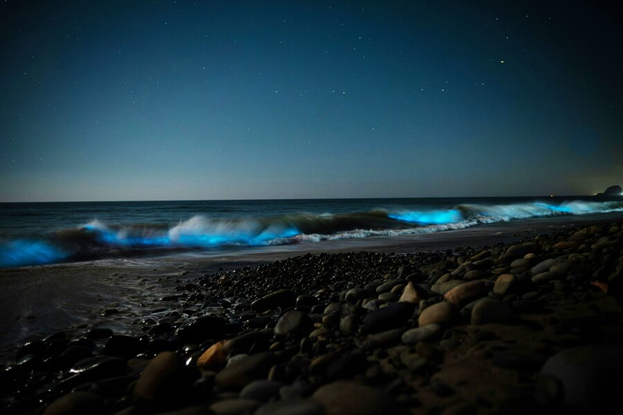 Bioluminescent water lapping a beach at night