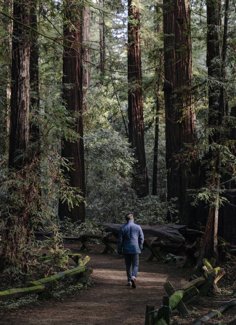 The Armstrong Redwoods offer plenty of shade to walk the trails.