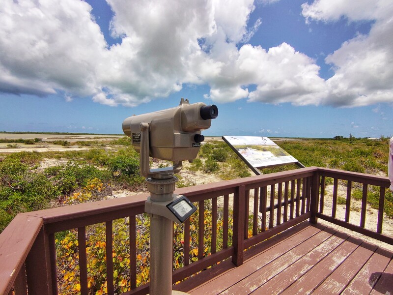 Flamingo Pond Lookout