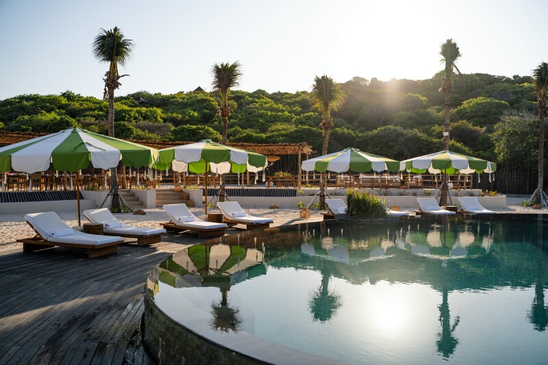 The pool area of Nihi Rote, with empty white lounge chairs and four green and white umbrellas; four palm trees in background