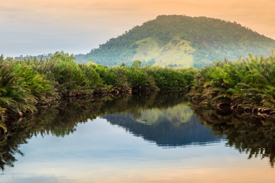 11 Unique Safari Experiences Around the World