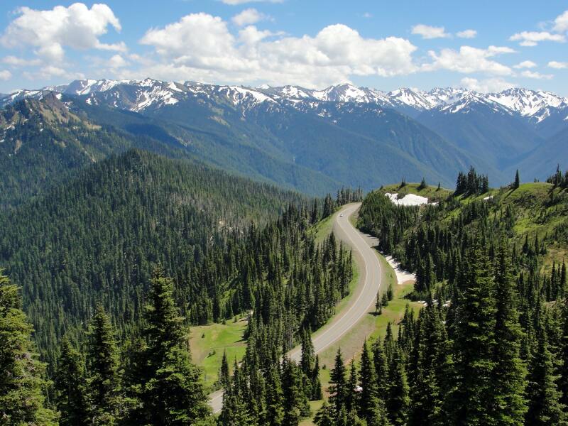 Olympic National Park is one of the few U.S. places with rain forests.