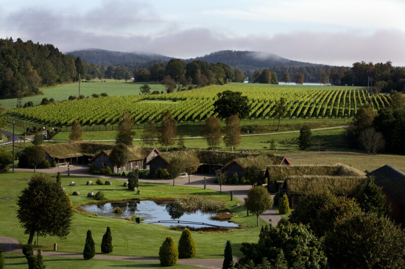 A landscape view of the verdant Ästad vineyard in Sweeden