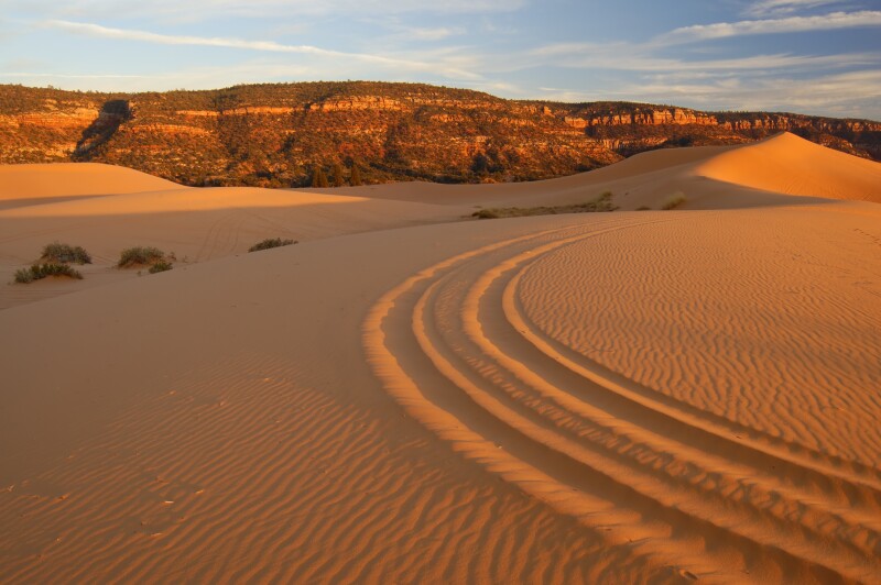 Coral sand with ATV tracks leading into sinuous dune