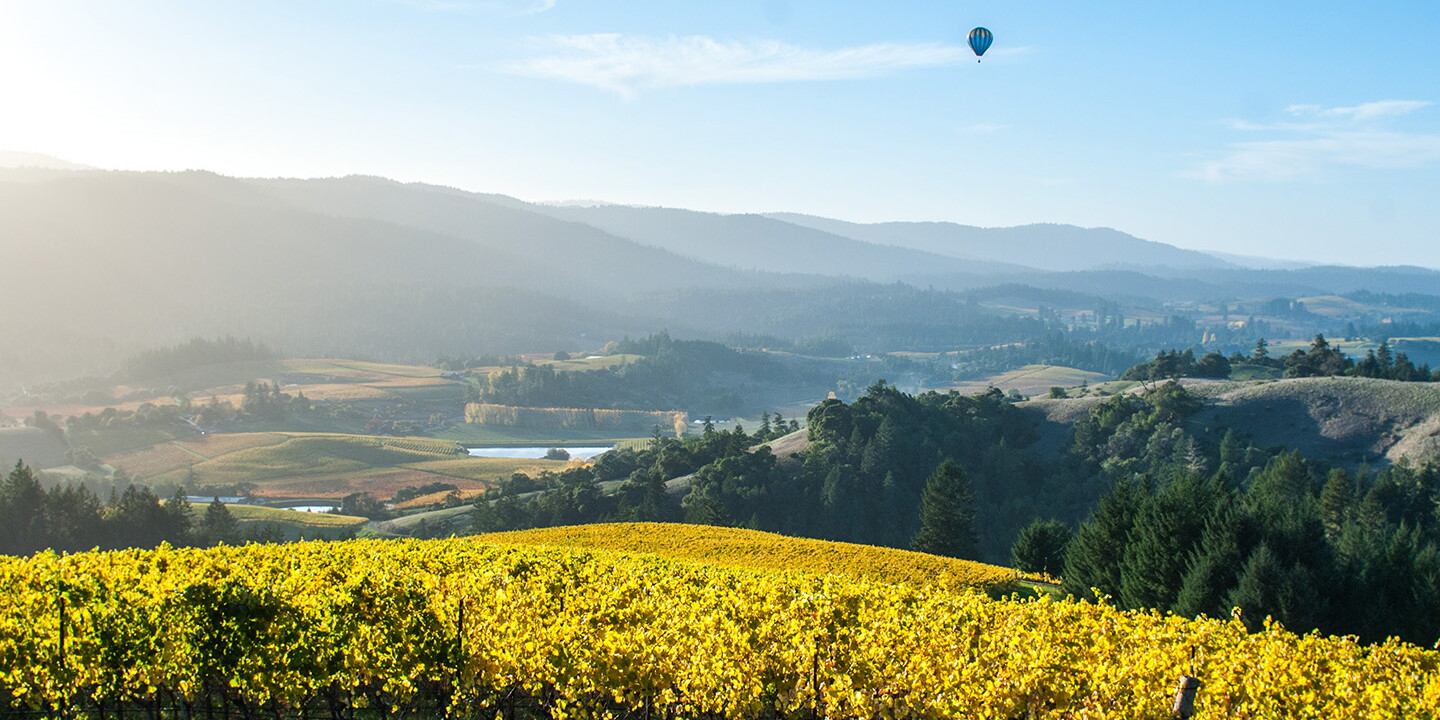 Wine, Redwoods, and the Coast: One Perfect Northern California Road Trip