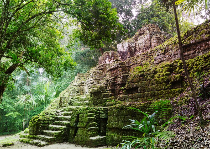 Ancient Mayan temples in Tikal National Park