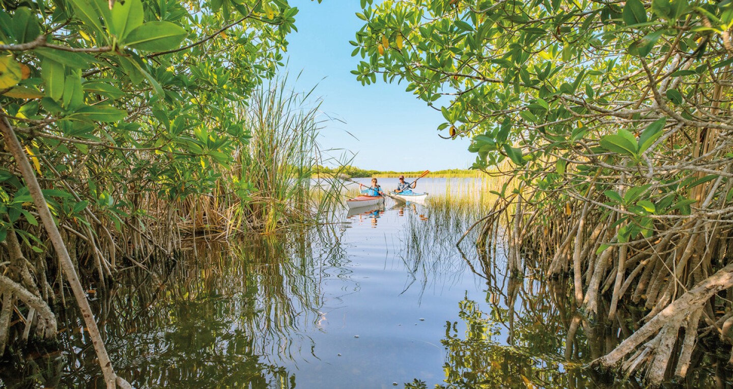 Everglades National Park in Key Largo, FL