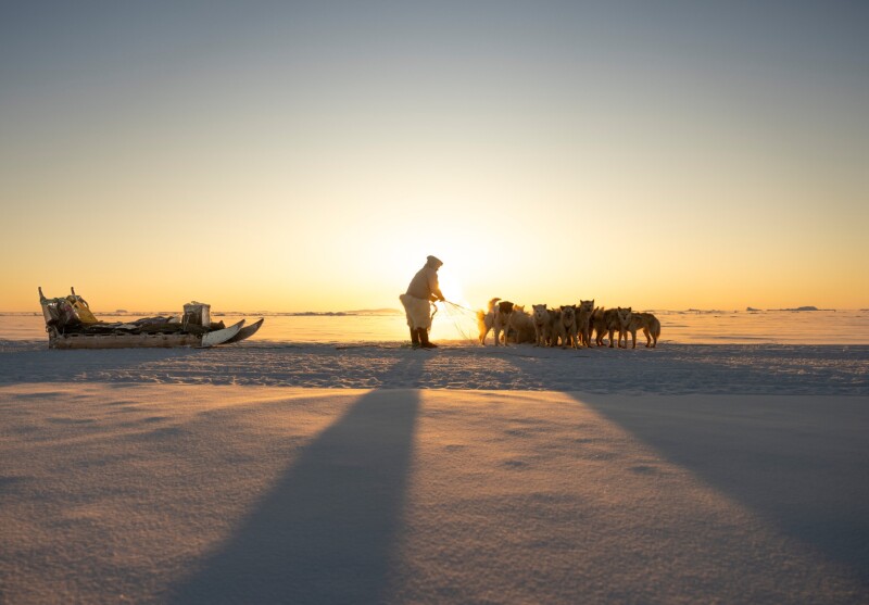 Low sunlight streaming through from behind a person holding the reigns of a pack of Inuit sledding dogs tethered to a sled.