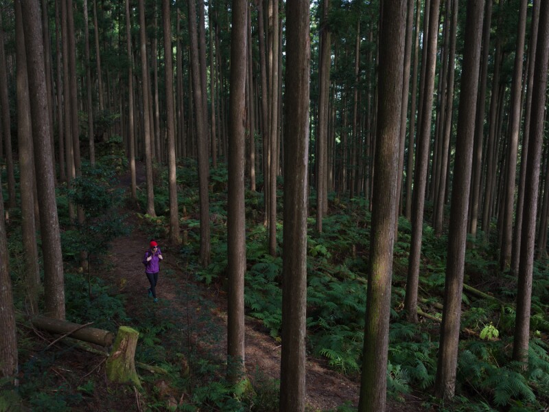 Kumano Kodo, Japan. Photo by Peter Bohler