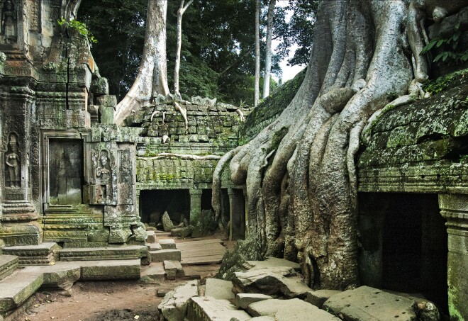 Ta Phrom, Temples Angkor, Cambodia.