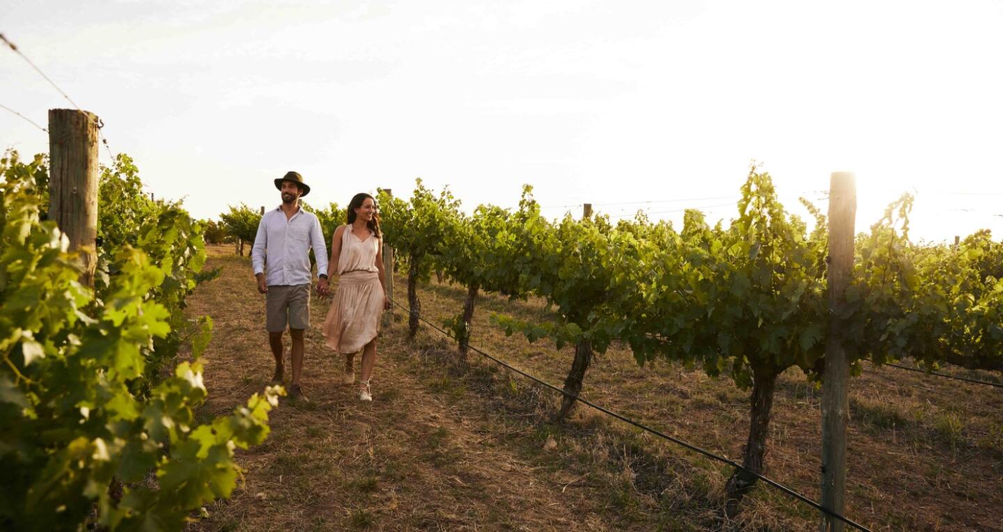 A Couple walks through a vineyard.