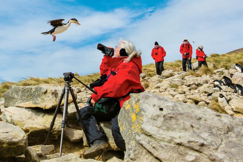 Original-Birding-SouthGeorgia