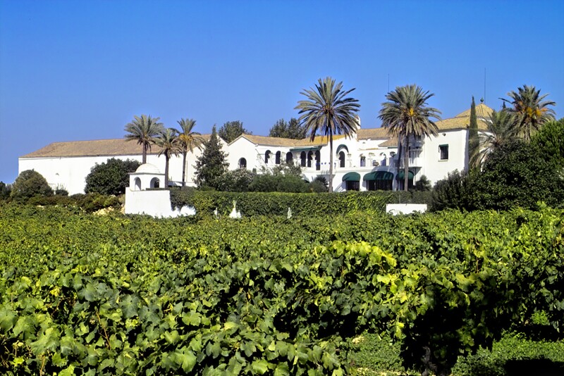 Finca Viladellops, which dates back to 1877, produces organic wines.