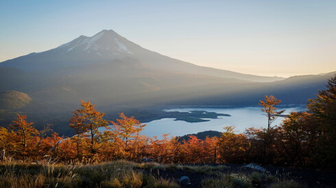 The hills of Chile's Araucanía Region are aflame with oranges and red during April and May.