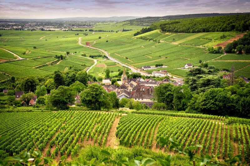 Taste the terroir of Burgundy from home.