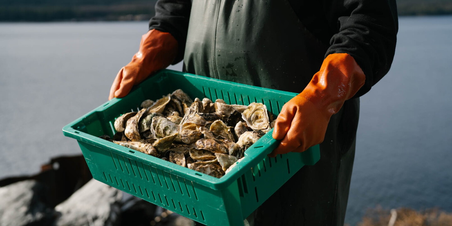 Alaska Has Launched an Oyster Trail with Farm Tours, Raw Bars, and Seafood Markets
