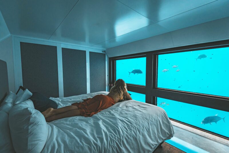 Woman on a bed looking at a wall of windows, with fish on the other side