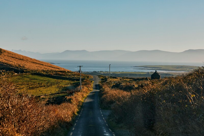 A paved narrow road cuts through fields and leads to mountains and water in Dingle, Ireland
