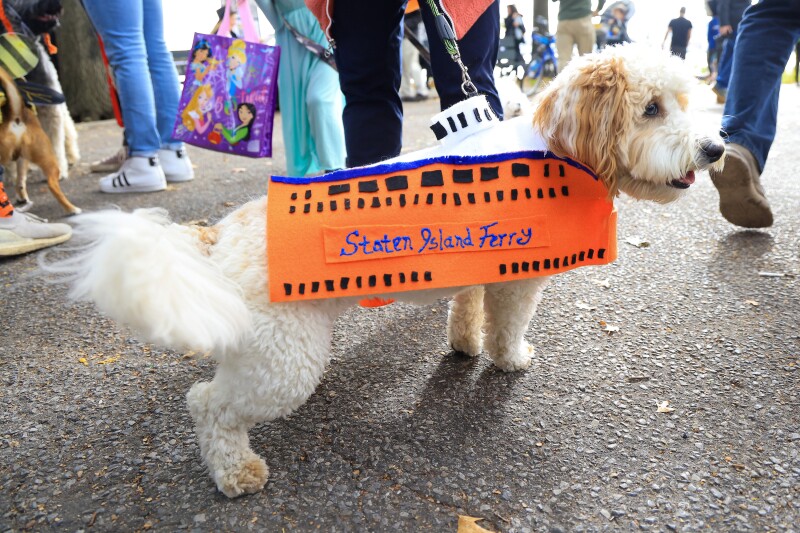 A dog in a Staten Island ferry costume