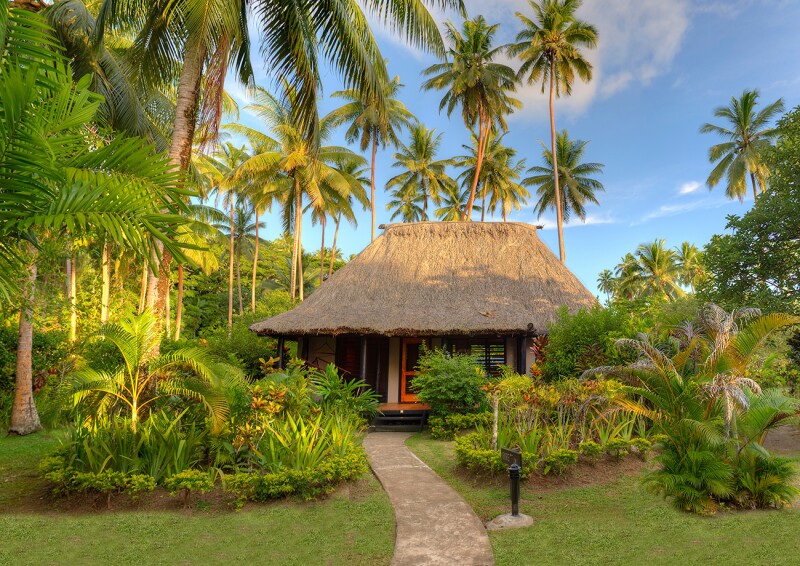Thatched roof hut surrounded by palm trees at Jean-Michel Cousteau Fiji Islands Resort