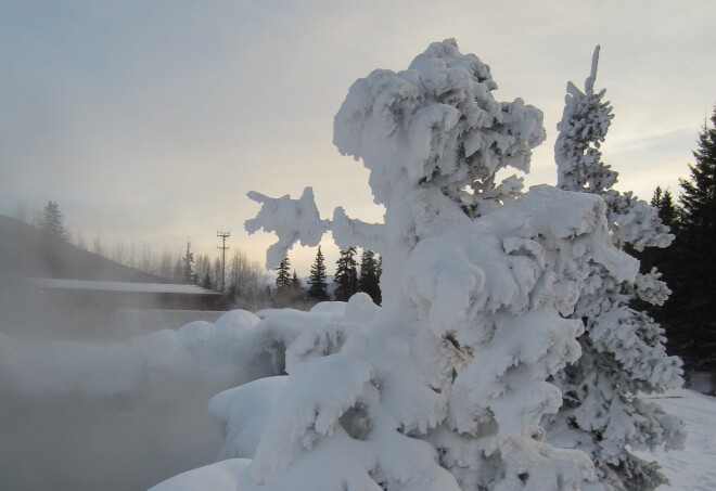Chena Hot Springs - Fairbanks Alaska - Steam and tree faires wait for Northern Lights