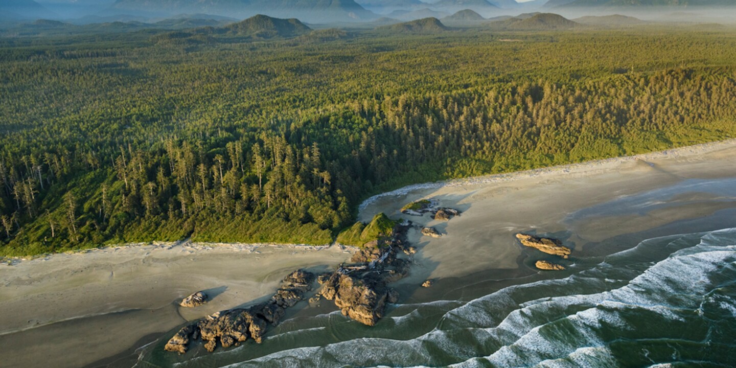 Visit Pacific Rim National Park Reserve and you'll experience an ecosystem that interweaves the land and ocean.