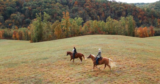 What to Expect from Blackberry Farm’s Dreamy New Project in the Great Smoky Mountains