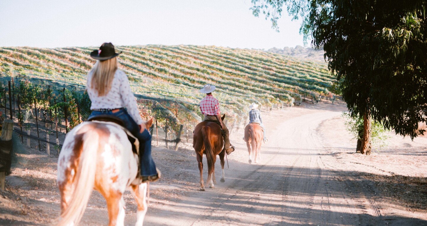 Horseback riding in Solvang