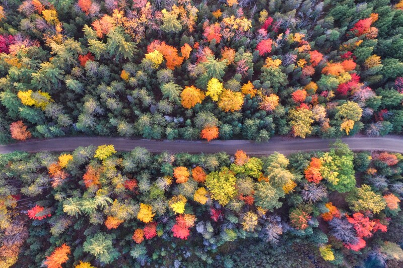 Interest in fall travel has nearly doubled on Pinterest.
