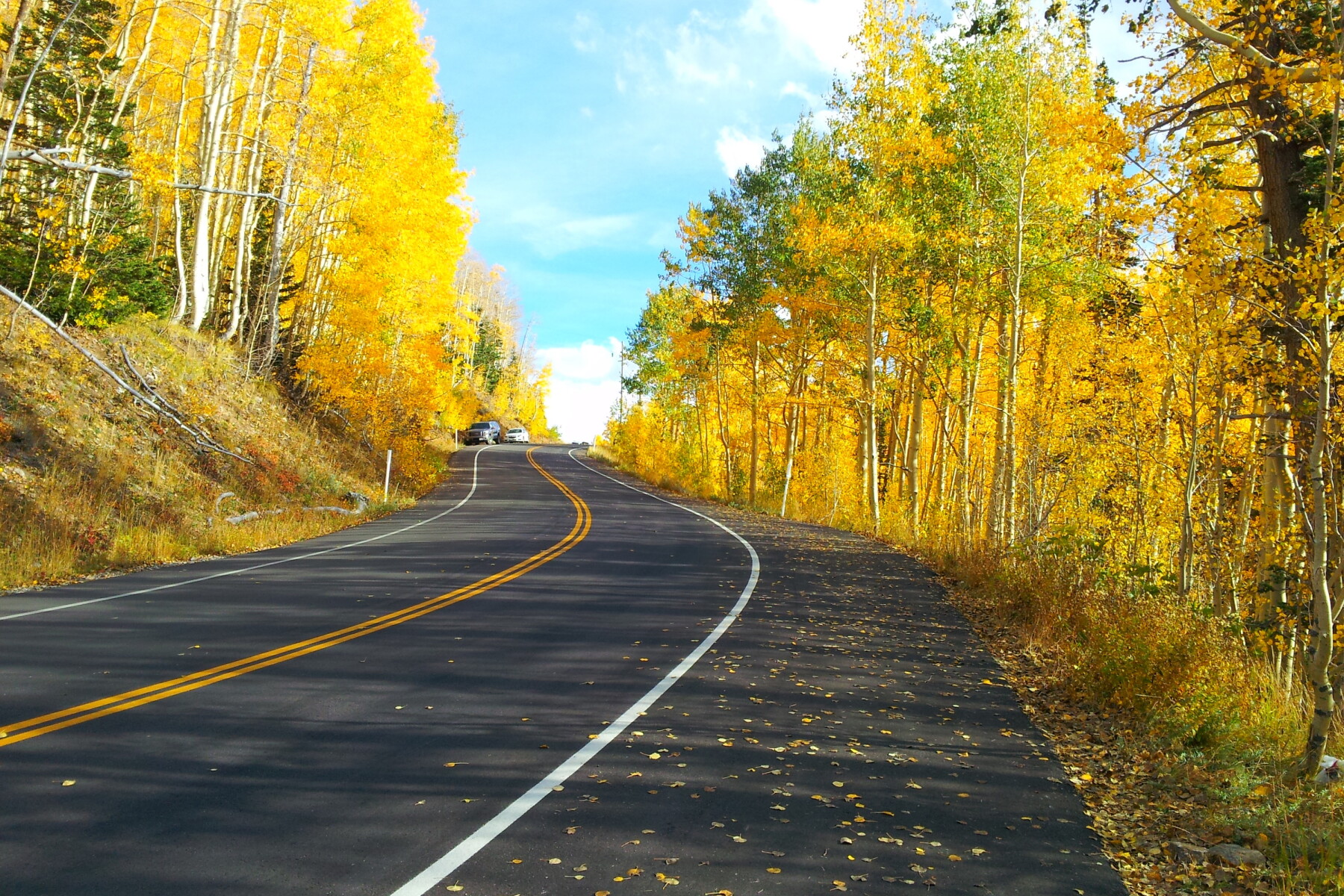 Fall Color Drives 12 Scenic Drives in the USA for Fall Foliage - AFAR