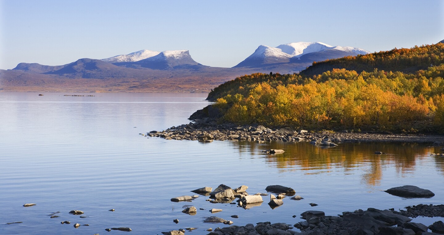 Trees by the water. In the distance, angled mountains are covered by snow.