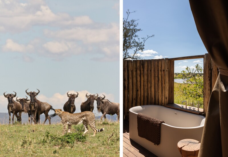 The Lamai Wedge is a wildlife-rich area in the northern reaches of Serengeti National Park. Left: Wildebeest next to a cheetah. Right: An outdoor bathtub in one of the six tented accommodations.