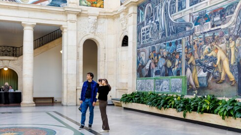 The Detroit Institute of Arts