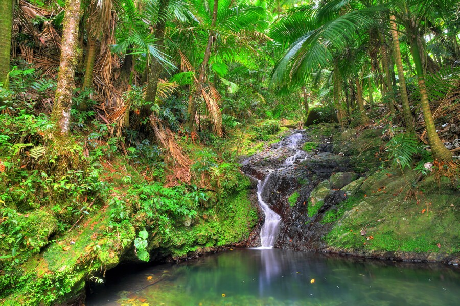 How to Be a Better Traveler in Puerto Rico