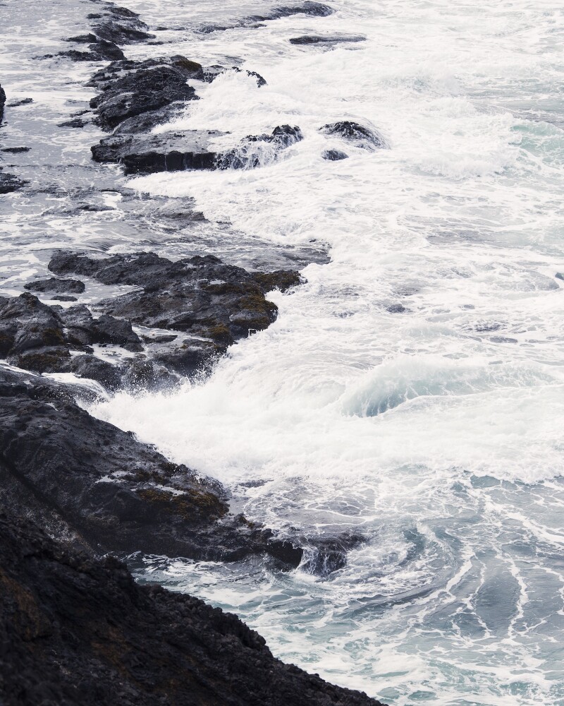 Holdfast Dining chefs go on regular culinary scavenger hunts in rocky tide pools.