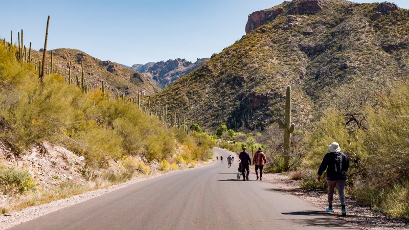 A group of hikers walking down a paved road surrounded by desert hills in Sabino Canyon, Tucson.