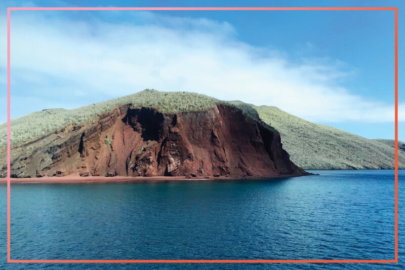 Snorkeling off the shore of Rábida Island, it's likely you'll come across sea turtles, parrotfish, and sea lions.