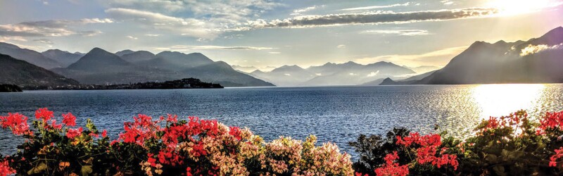 View of lake Maggiore with mountains in the distance and flowers in the foreground.