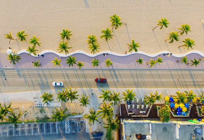 An aerial view of palm tree-lined road and a curvy wall next to a beach in Miami, Florida