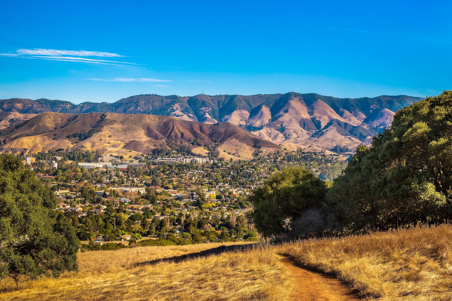 Slo Cal The 8 Best Things to Do in San Luis Obispo, California - AFAR