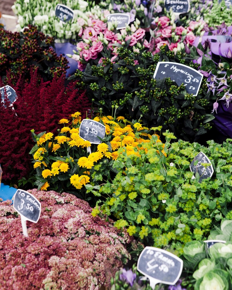 Spring is the most popular time of year to visit Amsterdam. Bulb fields with tulips and other flowers bloom from mid-April through mid-May just outside the city.
