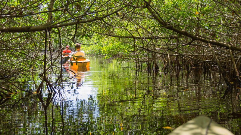 The UNESCO-recognized Everglades National Park is the third largest national park in the United States.