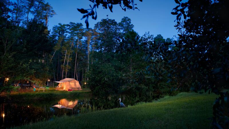 Campsite_at_Fort_Wilderness.jpg